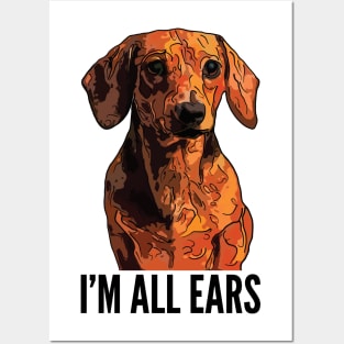 Funny Dachshund I'm All Ears Posters and Art